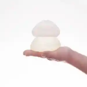 پروتز