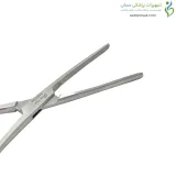 پنس روده گیر