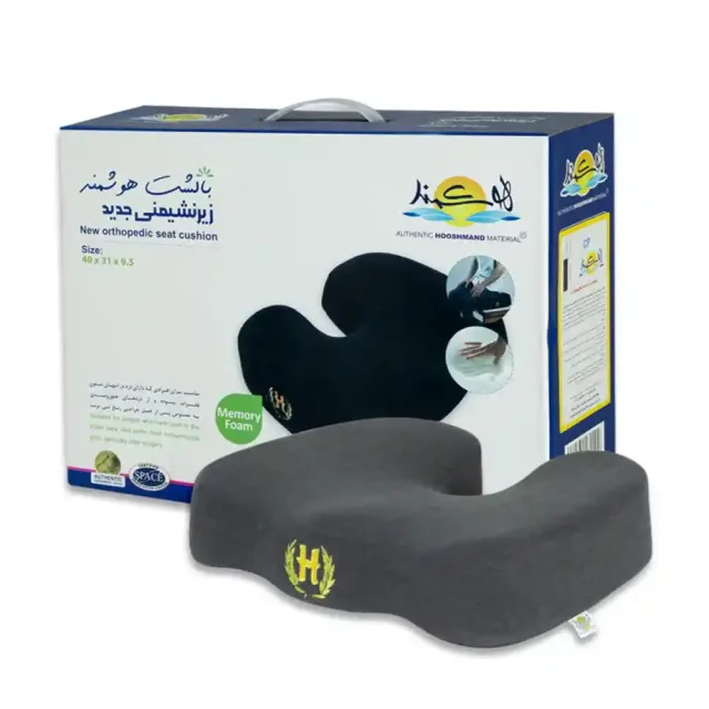 زیر نشیمنی هوشمند