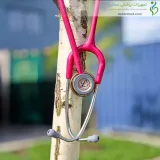 گوشی پزشکی کلاسیک III تمشکی مسی لیتمن (Littmann)