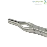 والشام سپتوم بینی راست