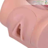 مانکن شبیه ساز آیودی گذاری