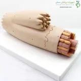 مولاژ میوکارد ماهیچه قلب کد ۰۳۳۹