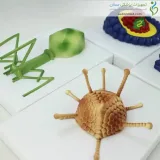 مولاژ ویروس ایدز وارداتی کد ۰۸۹۴