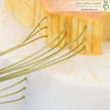 مولاژ نخاع با رشته های عصبی