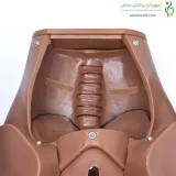 مانکن زایمان طبیعی با دو جنین و جفت