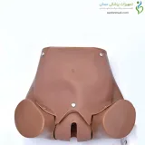 مانکن زایمان طبیعی با دو جنین و جفت