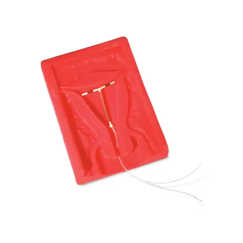 مولاژ آموزش آ یو دی گذاری C (مانکن IUD)
