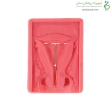 مولاژ آموزش آ یو دی گذاری C (مانکن IUD)