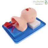 مانکن لوله گذاری نای نوزاد (مانکن انتوباسیون نوزاد)