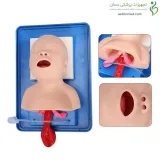 مانکن لوله گذاری نای نوزاد (مانکن انتوباسیون نوزاد)