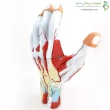 مولاژ دست سه قسمتی