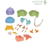 مولاژ جمجمه انسان ۲۲ قسمتی رنگی