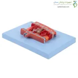 مولاژ مقطع جفت