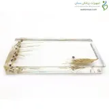 سیر تکامل گیاه برنج