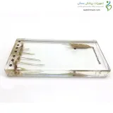 سیر تکامل گیاه برنج