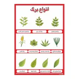پوستر آموزشی انواع برگ