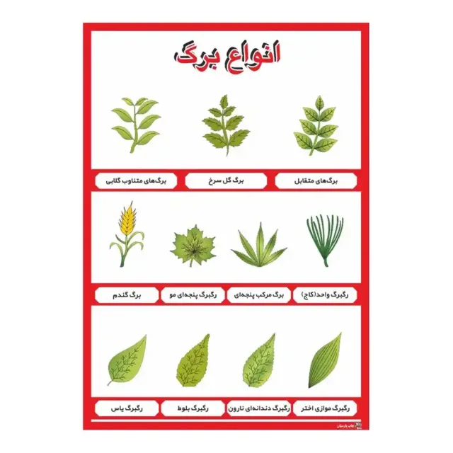 پوستر آموزشی انواع برگ