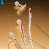 پگ معده بوستون