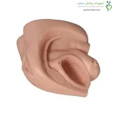 سوند گذاری زن