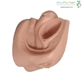 سوند گذاری زن