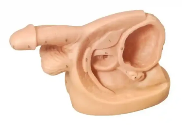 مولاژ سوند گذاری مرد