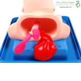 مولاژ ( مانکن ) لوله گذاری اطفال