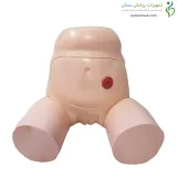 مولاژ (مانکن ) مدل کامل مجاری ادراری زنان