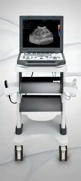 دستگاه سونوگرافی انسانی پرتابل مدل N3