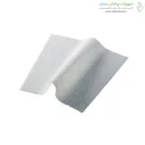 فیزیوتول نقره