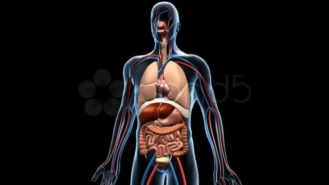 مقایسه جامع مولاژها