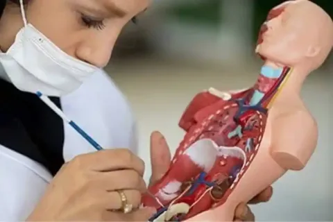 مولاژها در آموزش: اهمیت و کاربردها