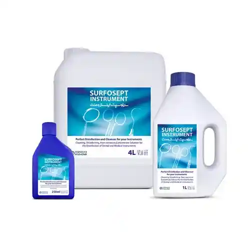 Olive Tapenade Bruschetta With Mango and Eggs