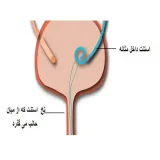 سوند دبل جی