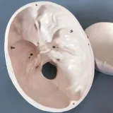 مولاژ جمجمه
