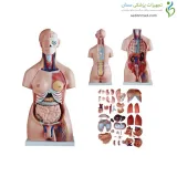 مولاژ نیم تنه 40 قسمتی