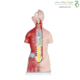 مولاژ نیم تنه 20 قسمتی