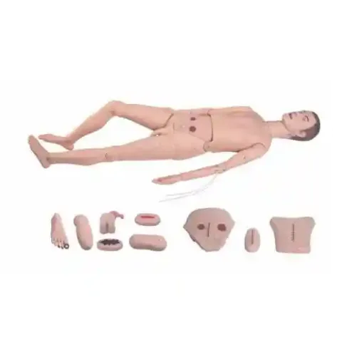 مولاژ پرستاری مقدماتی