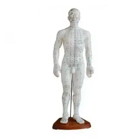 مولاژ طب سوزنی مرد