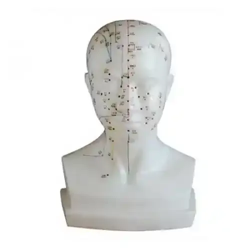 مولاژ طب سوزنی سر بزرگ