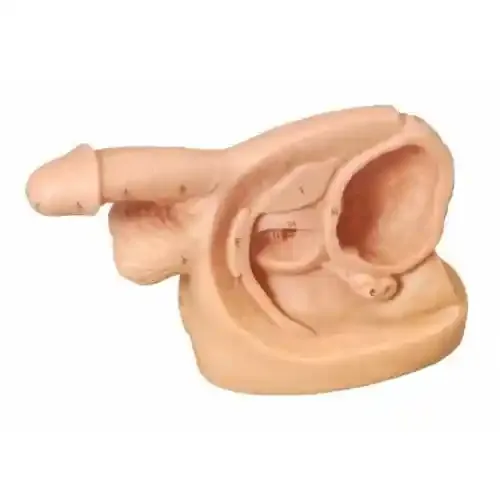 مولاژ سوند گذاری مرد