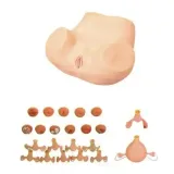مولاژ معاینات ژنیکولوژیک