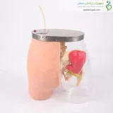 مولاژ آموزش تزریق عضلانی پیشرفته