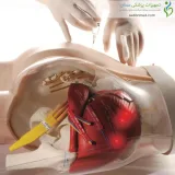 مولاژ آموزش تزریق عضلانی پیشرفته
