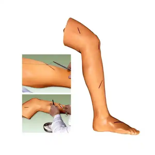 مولاژ سچور ( بخیه ) پا جهت آموزش بخیه