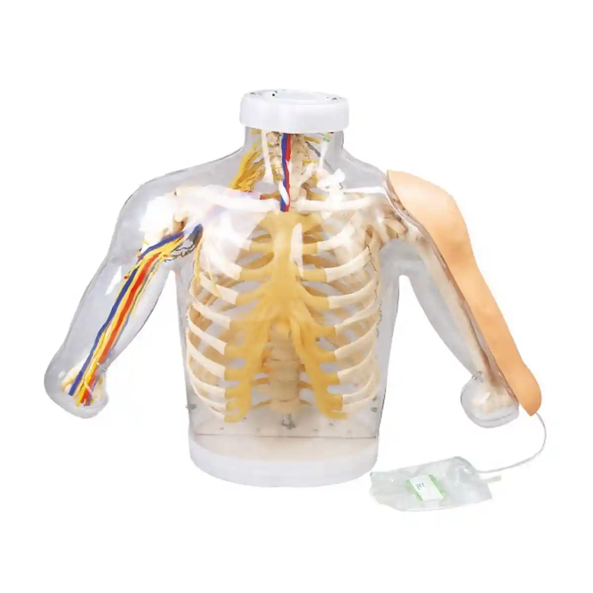 مولاژ تزریق عضلانی پیشرفته الکترونیکی