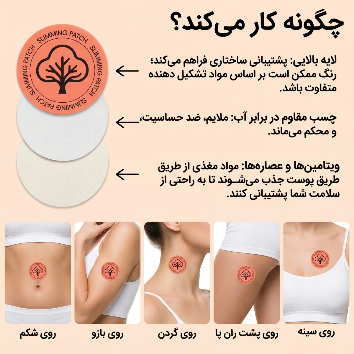 پچ کاهش وزن بربرین اسنشال لبز Acentiallabs چگونه کار میکند ؟ (1)