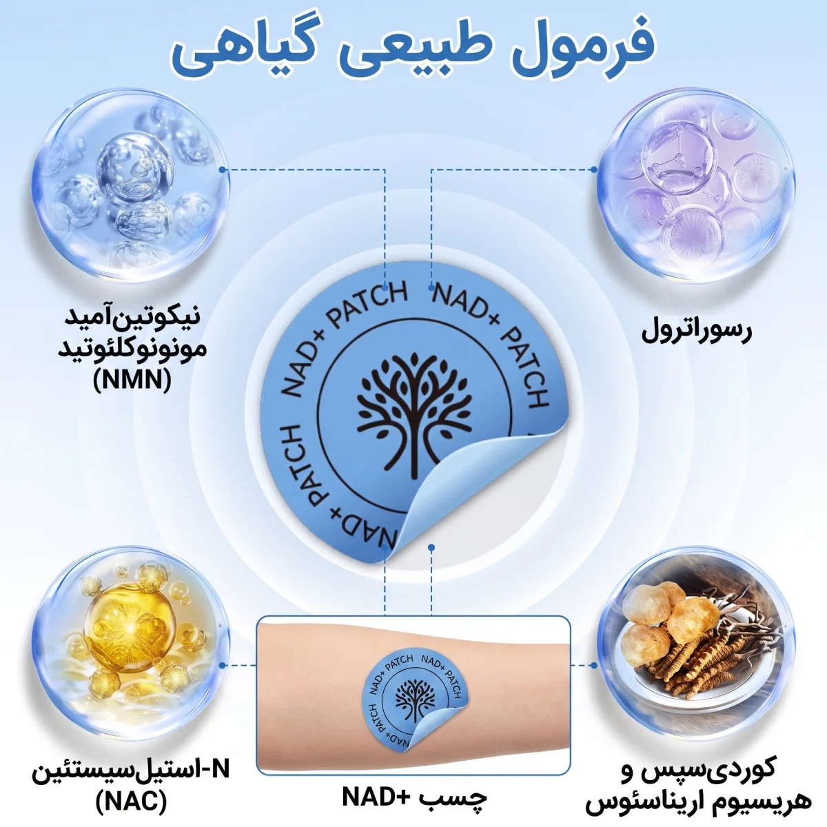 فرمول پچ جوانساز و ضد چین و چروک NAD+ اسنشال لبز Acentiallabs