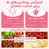 پچ گیاهی کنترل اشتها GLP-1 اسنشال لبز ( پچ لاغری )