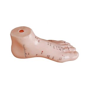 مولاژ طب سوزنی پا